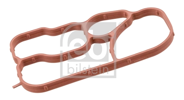 Gasket, oil cooler